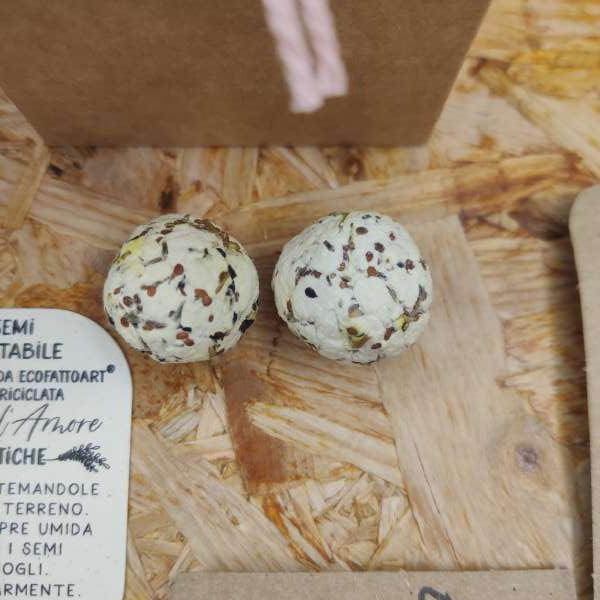 bombe di semi bomboniere battesimo bimba ecofattoart